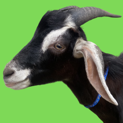 $DOGOAT Logo